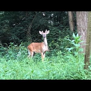 Meet your Posher, Liz